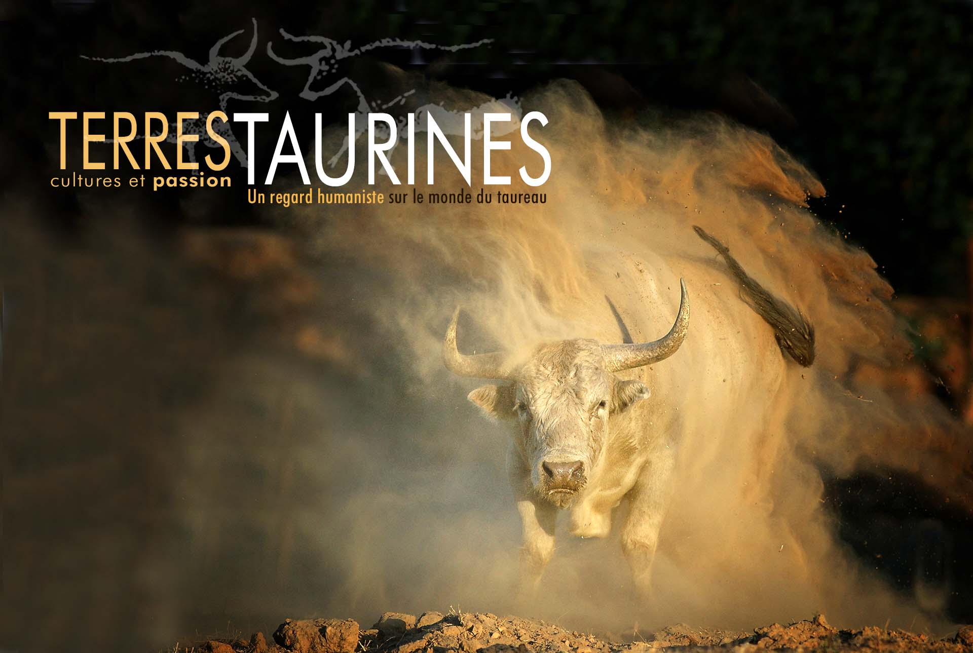 terres-taurines